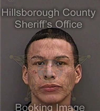 Daly Fenlon, - Hillsborough County, FL 