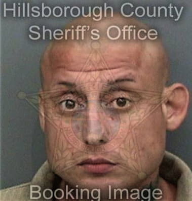 Jesus Ferreira, - Hillsborough County, FL 