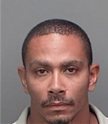 Alexandre Pena, - Pinellas County, FL 