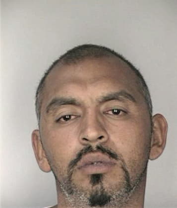 Daniel Boggi - Hillsborough County, FL 