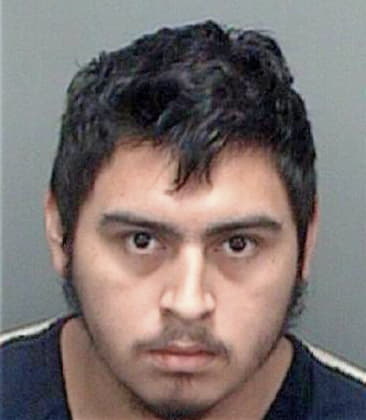 Luis Chavezperez, - Pinellas County, FL 