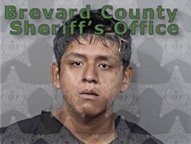 Julio Faris-Gonzalez, - Brevard County, FL 