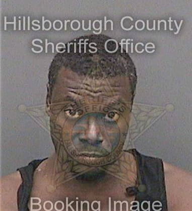 Dameon George, - Hillsborough County, FL 