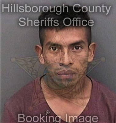 Manuel Gonzalezmendez - Hillsborough County, FL 