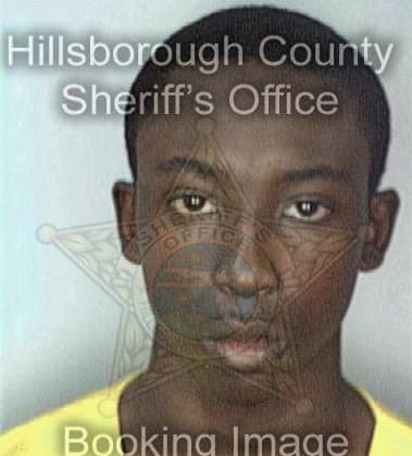 Reginald Hunt, - Hillsborough County, FL 