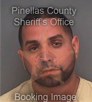 Pedro Joseantonio, - Pinellas County, FL 