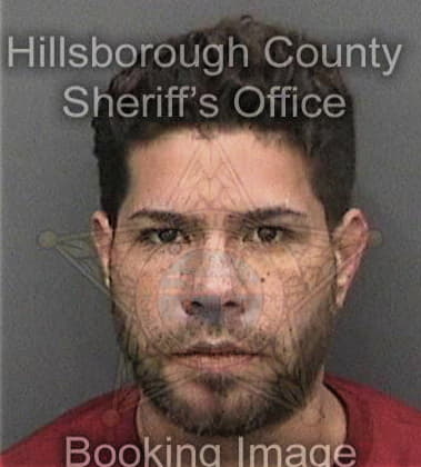 Andy Ramirezmirabal, - Hillsborough County, FL 