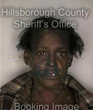 Cynthia Williams - Hillsborough County, FL 