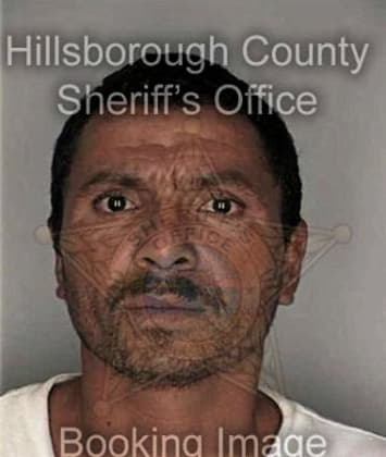 Augustin Hernandezperez - Hillsborough County, FL 