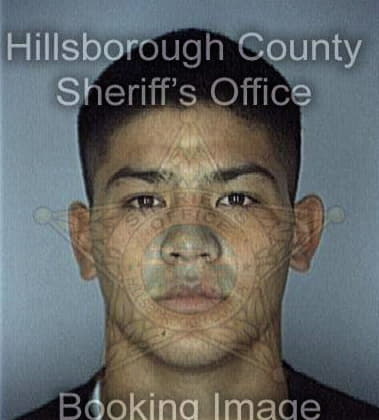 Elvio Ivan, - Hillsborough County, FL 