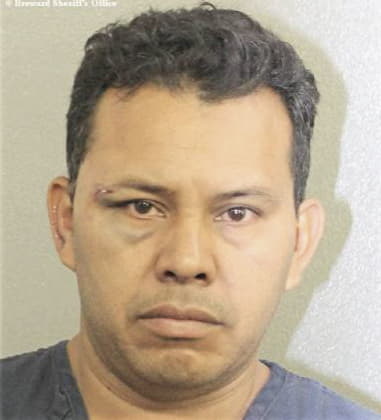 Reynaldo Medina, - Broward County, FL 