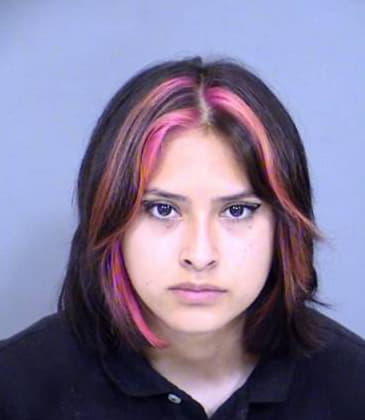 Stephanie Shegrud - Maricopa County, AZ 