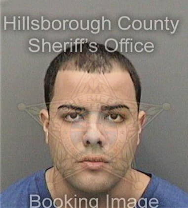 Sigilfredo Stives, - Hillsborough County, FL 