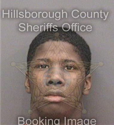 Troy Boone - Hillsborough County, FL 