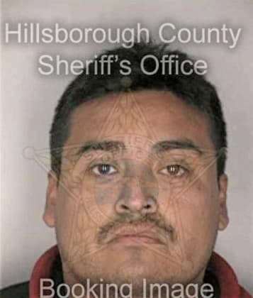 Izhak Cohen - Hillsborough County, FL 