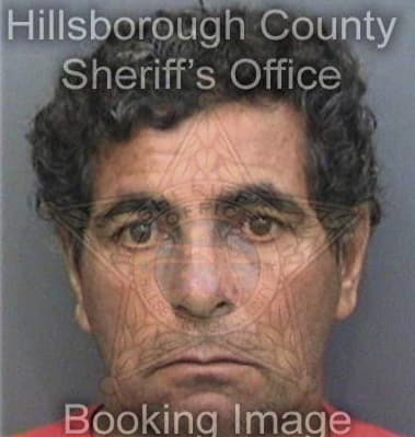 Rojolio Hidalgoperez, - Hillsborough County, FL 