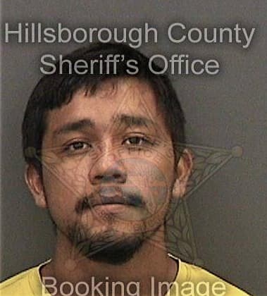 David Mann, - Hillsborough County, FL 