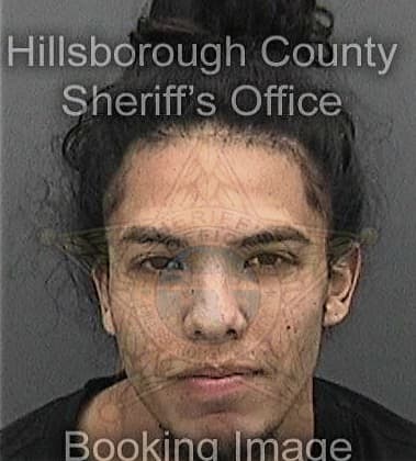 Alexis Mendezibarra - Hillsborough County, FL 