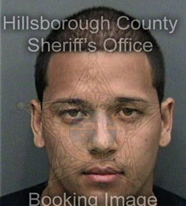 John Palmer, - Hillsborough County, FL 