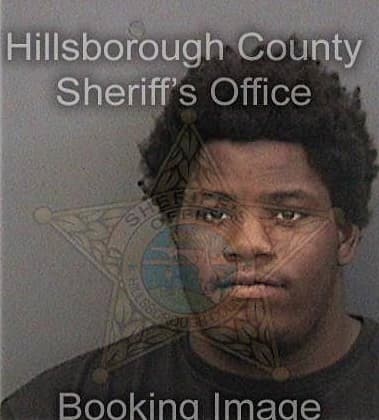 Jerrick Chisholm - Hillsborough County, FL 