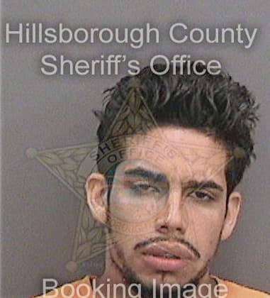 Allan Hall, - Hillsborough County, FL 