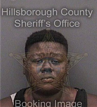 Ceohissie McDanielnewsome - Hillsborough County, FL 