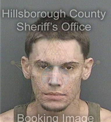 Hamed Milani - Hillsborough County, FL 