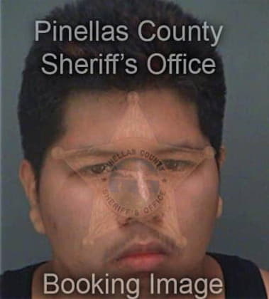 Luis Otero, - Pinellas County, FL 