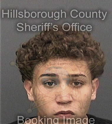 Alain Rodriguezroig, - Hillsborough County, FL 