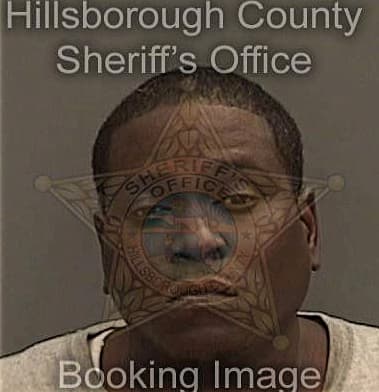 Michael Williams, - Hillsborough County, FL 