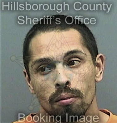 Israel Barajas, - Hillsborough County, FL 