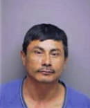 Melvin Garay-Castro, - Manatee County, FL 