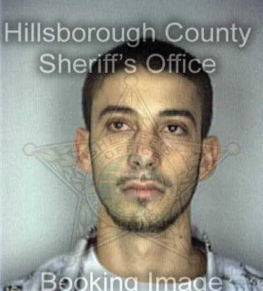 John Hulsey, - Hillsborough County, FL 