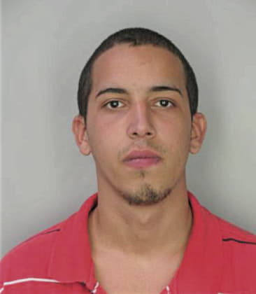 Ricky Mitchell - Hillsborough County, FL 