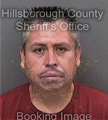 Ediberto Navarretenava, - Hillsborough County, FL 