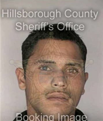 Levis Perez, - Hillsborough County, FL 