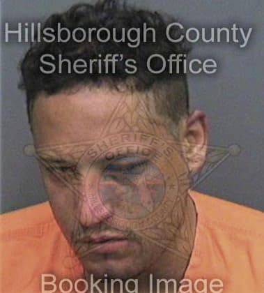 Kenneth Capitano, - Hillsborough County, FL 