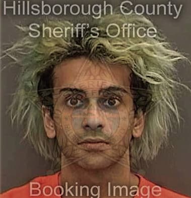Jacques Chrysochoos - Hillsborough County, FL 