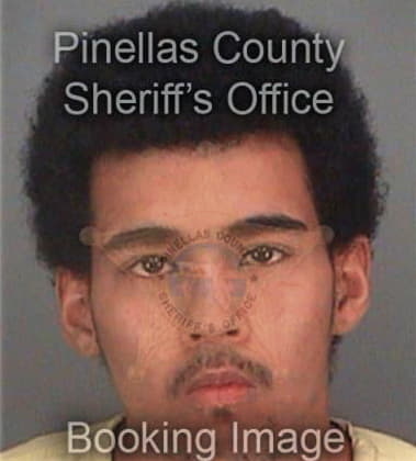 Juan Guerreroalonso, - Pinellas County, FL 