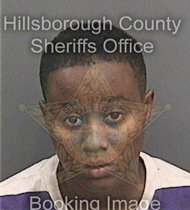 Stephine Hamilton, - Hillsborough County, FL 