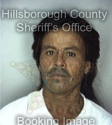 Scott Mauro - Hillsborough County, FL 