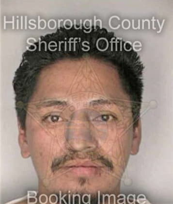 Ebander Mendez - Hillsborough County, FL 