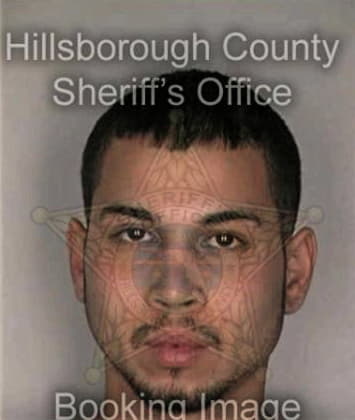 Patrick Minnax - Hillsborough County, FL 