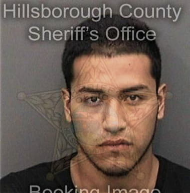 Joshua Moll, - Hillsborough County, FL 