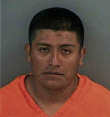 Pedro Pastrana-Calderon, - Collier County, FL 