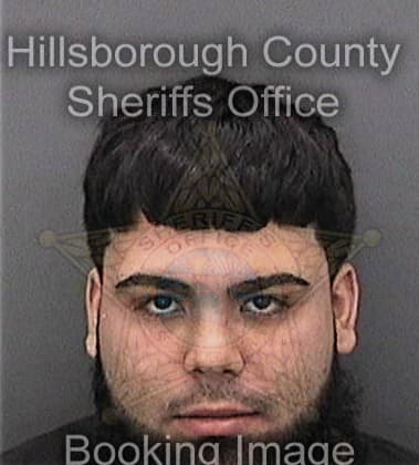 Luis Rodriguezpons, - Hillsborough County, FL 