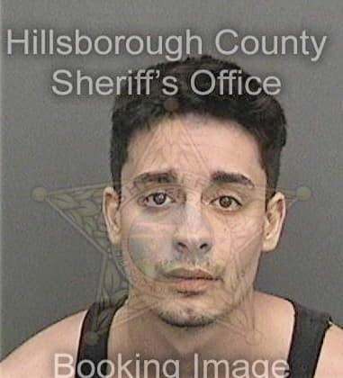 Sean Simpson, - Hillsborough County, FL 