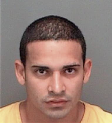 Domingo Flandez, - Pinellas County, FL 