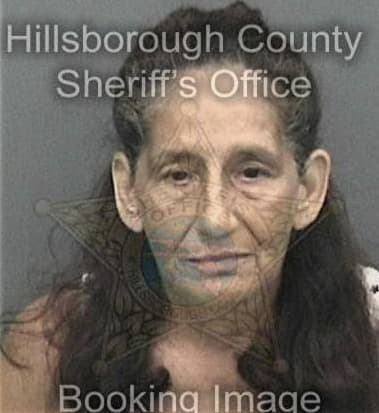 Linda Miller - Hillsborough County, FL 