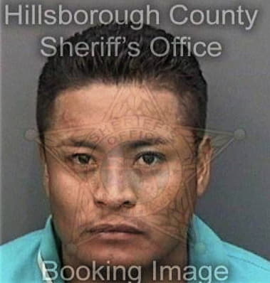 Alexander Ortega, - Hillsborough County, FL 